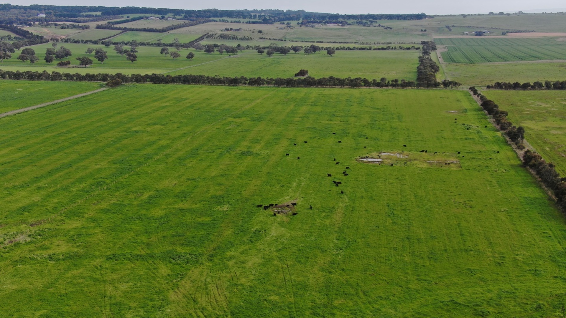 Gnarwarre Solar Farm