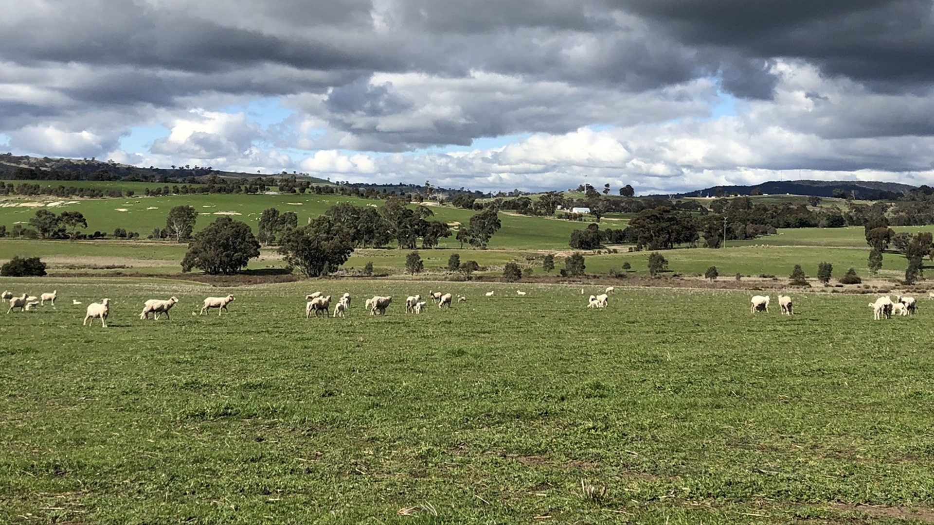 Ravenswood Solar Farm